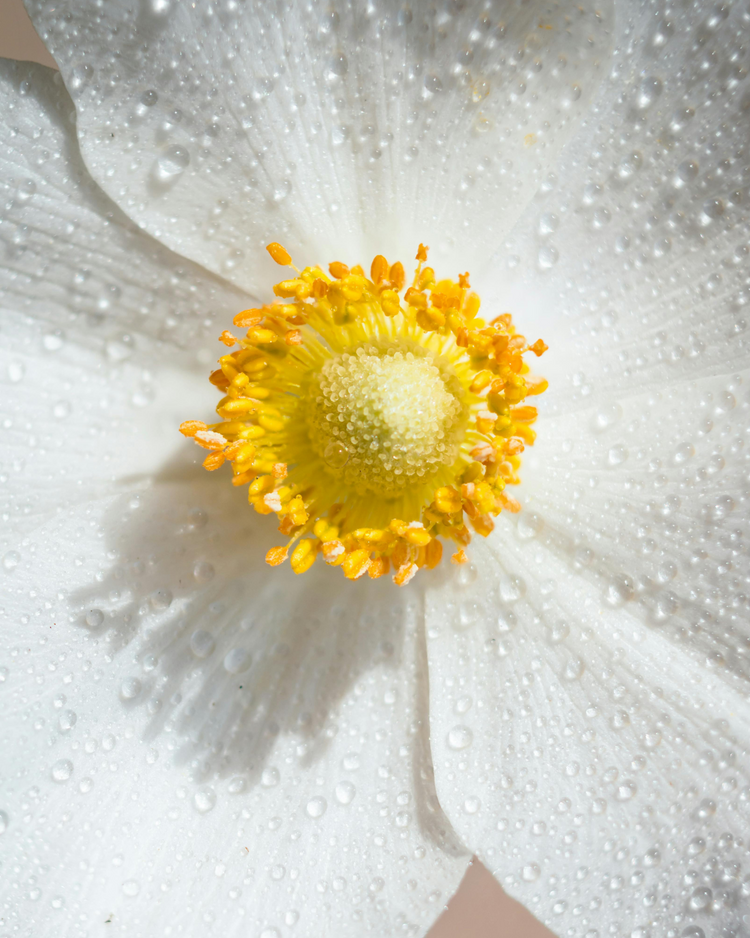 Igiene intima e comfort